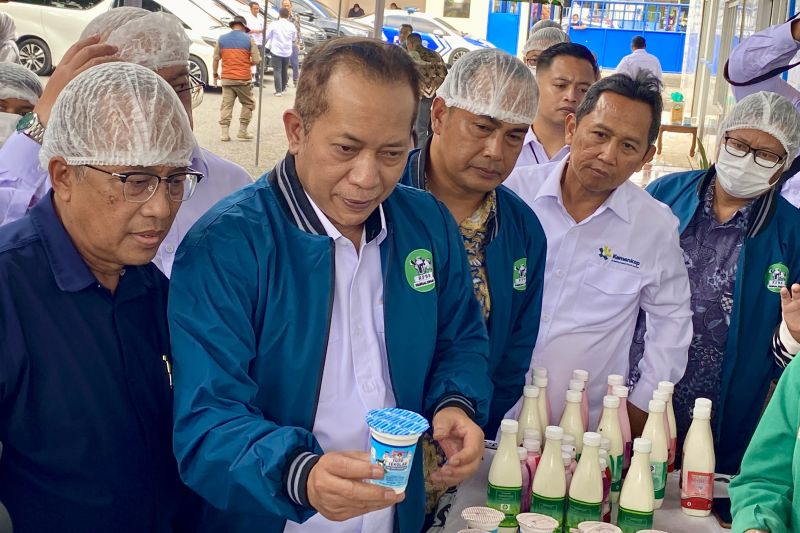 menkop-dukung-penuh-koperasi-sapi-perah-yang-bisa-ekspansi-ke-susu-uht
