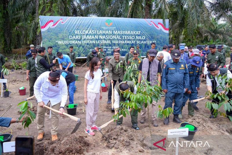 wamen-atr-relokasi-dari-tesso-nilo-memgedepankan-prinsip-keadilan