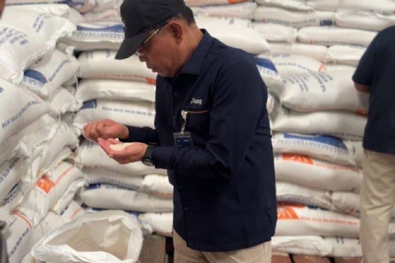 bulog-dan-masa-depan-industri-padi-indonesia