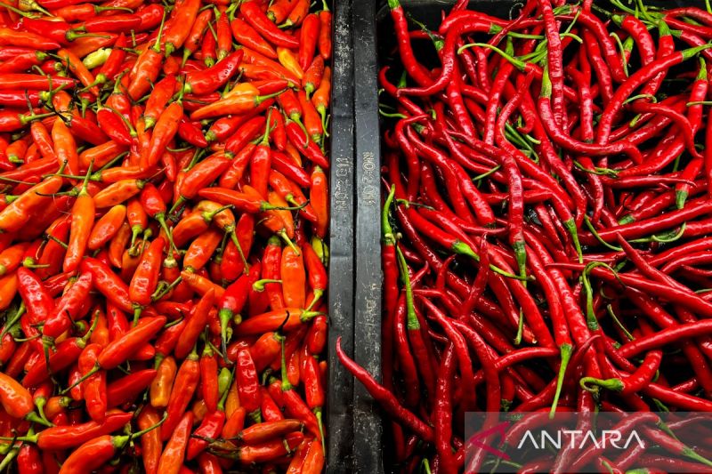 pihps-harga-cabai-rawit-merah-rp52850kg-telur-ayam-rp33800kg