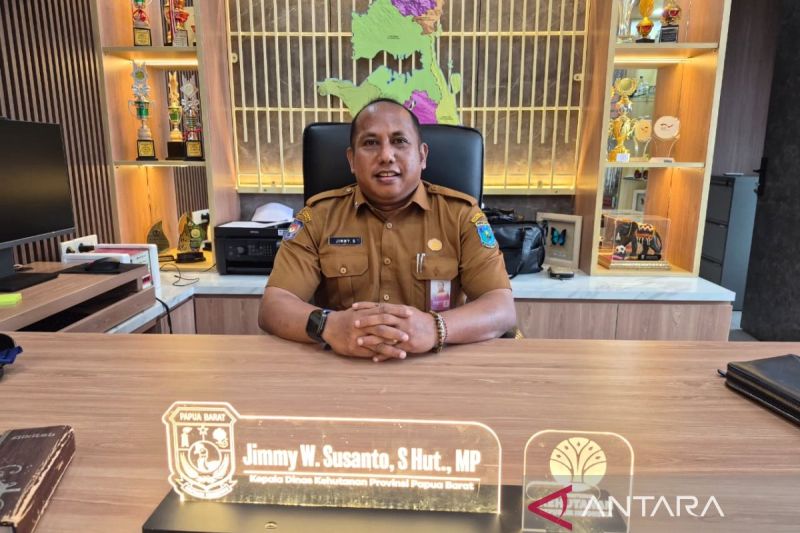 pembangunan-hutan-rakyat-di-papua-barat-capai-28-hektare