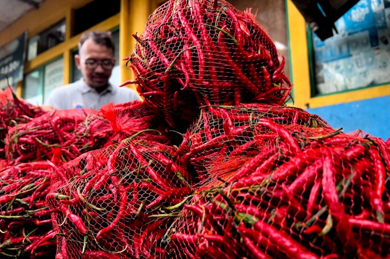 natal-harga-cabai-rawit-merah-rp73050kg-telur-ayam-rp33050kg