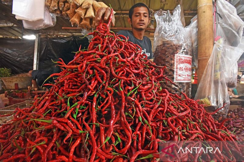 natal-harga-cabai-rawit-merah-rp73050kg-telur-ayam-rp33050kg