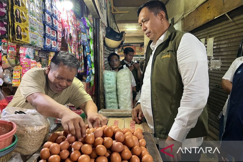 pihps-harga-cabai-rawit-merah-rp73950kg-telur-ayam-rp33450kg