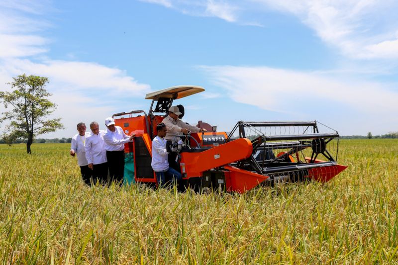 akademisi-transformasi-kebijakan-mentan-perkuat-ekosistem-pangan-ri