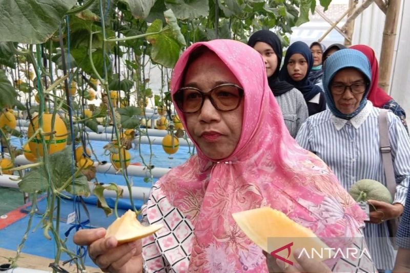 pemkab-blora-dorong-petani-lokal-pasok-melon-hidroponik-ke-sppg