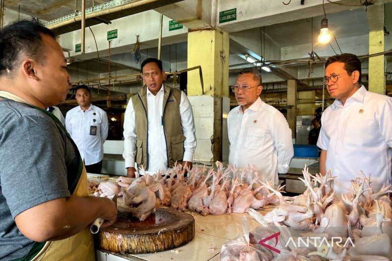 zulhas-busan-dan-dirut-bulog-tinjau-harga-pangan-di-pasar-kramat-jati