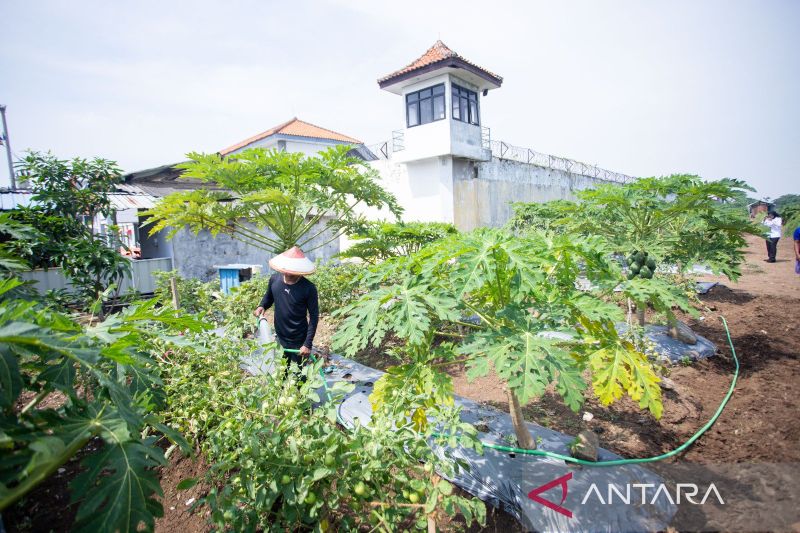 memupuk-masa-depan-dengan-ketahanan-pangan-di-balik-jeruji