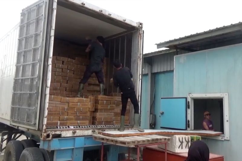 bea-cukai-kendari-asistensi-26-umkm-di-sultra-untuk-lakukan-ekspor