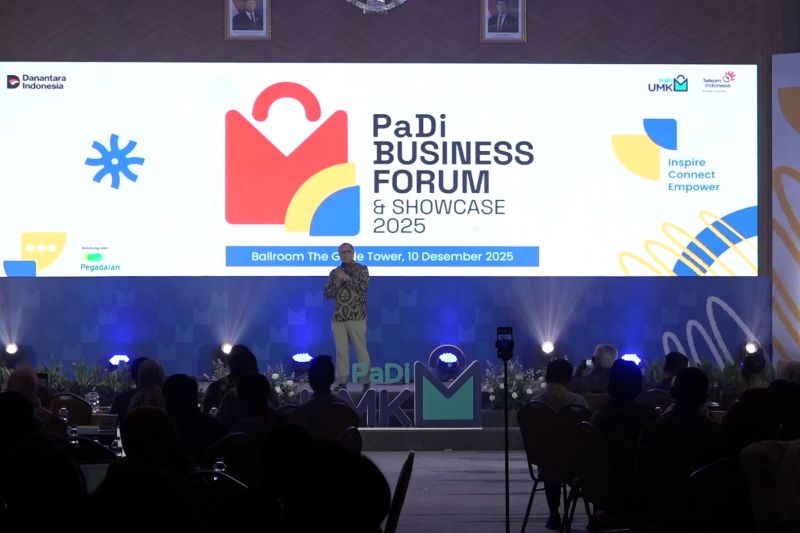 dongkrak-ekonomi-padi-umkm-sinergikan-usaha-kecil-menengah-dan-bumn