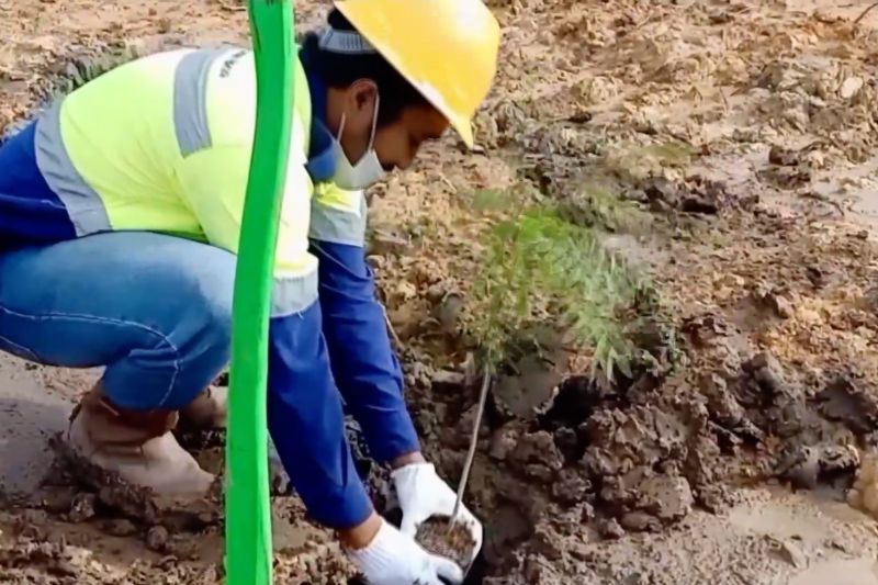 konservasi-tanah-wajibkan-pengguna-lahan-jaga-fungsi-lingkungan