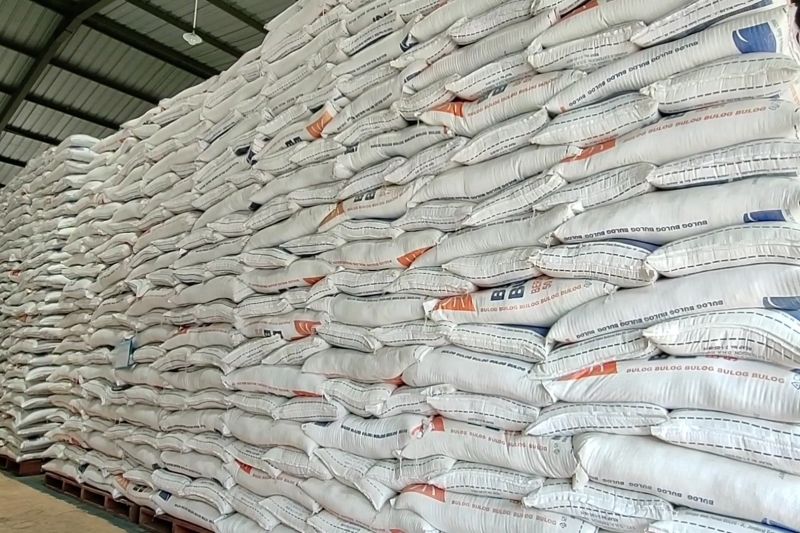 bulog-pastikan-stok-beras-serang-cilegon-aman-hingga-lebaran-2026