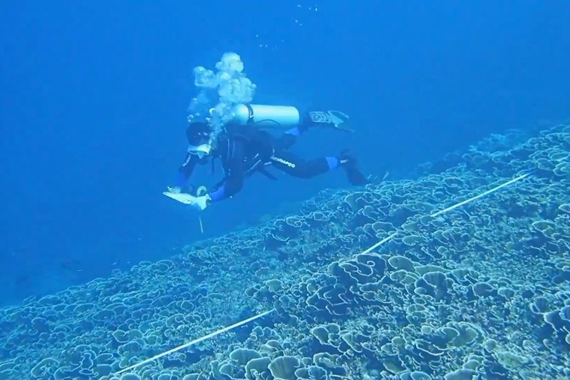 kkp-klaim-tak-ada-konflik-dalam-pemanfaatan-konservasi-laut-di-ri