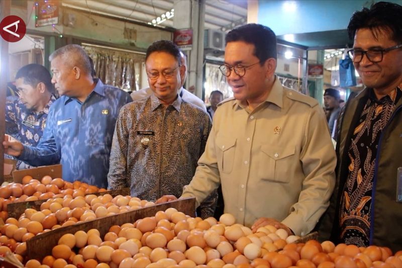 menteri-perdagangan-inspeksi-stok-dan-harga-pangan-di-pontianak