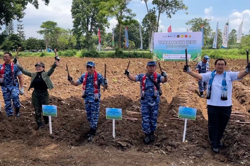 tni-au-gelar-panen-raya-tebu-untuk-perkuat-ketahanan-pangan