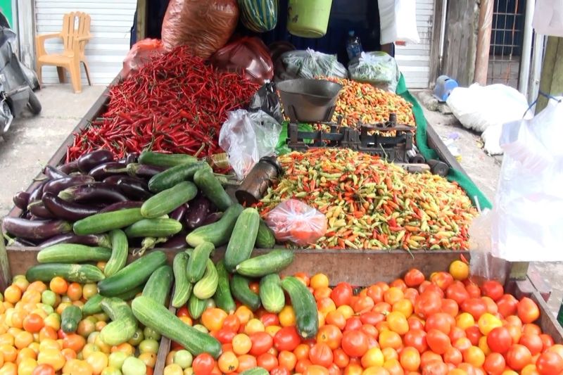 tpid-kalteng-sidak-kebutuhan-pokok-jelang-nataru-di-palangka-raya