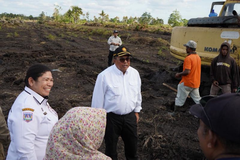 kementan-optimasi-lahan-memperkuat-swasembada-beras