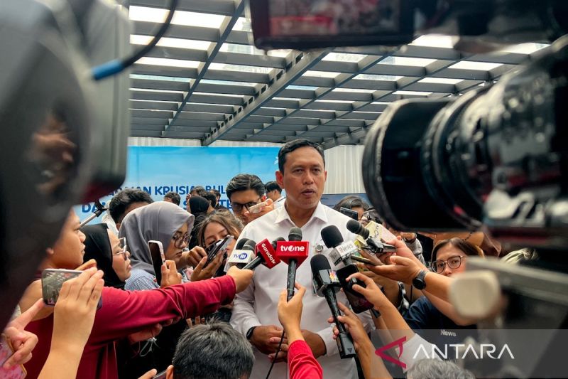 dirut-bulog-sebut-distribusi-jagung-sphp-pada-2025-capai-51211-ton