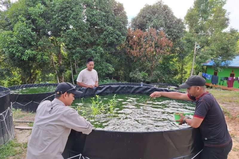 urgensi-kemandirian-sipil-di-tengah-gejolak-global-dan-bencana-lokal