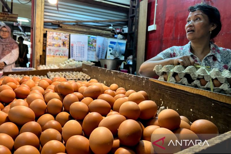 pihps-harga-cabai-rawit-merah-rp67300kg-telur-ayam-rp32750kg