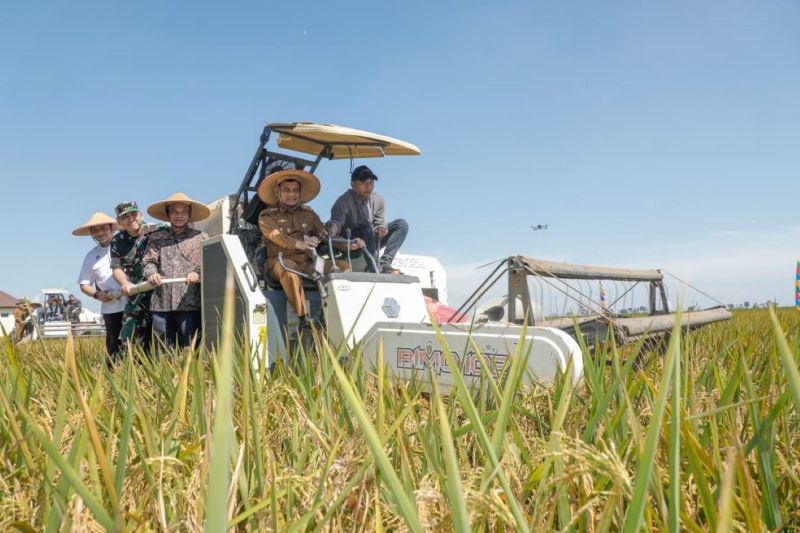 produktivitas-pangan-di-jateng-tahun-2025-capai-target-nasional