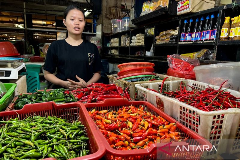 bapanas-harga-cabai-rawit-rp58796kg-bawang-merah-rp39173kg