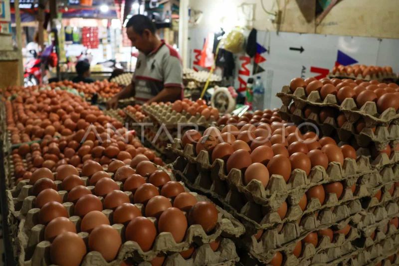 bps-inflasi-sulsel-selama-2025-sebesar-284-persen-di-bawah-nasional