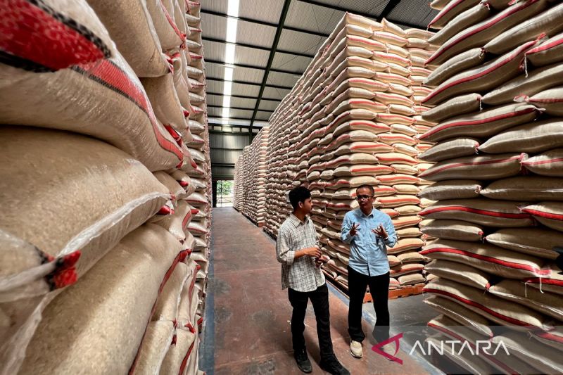 bapanas-ungkap-tiga-indikator-ri-raih-swasembada-beras