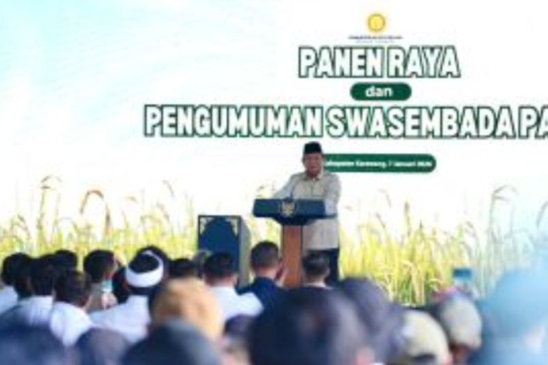 pengamat-pemerintah-perlu-memperjelas-makna-swasembada-pangan