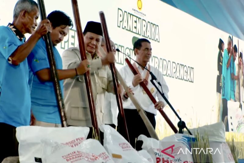 prabowo-umumkan-indonesia-resmi-swasembada-pangan-pada-tahun-2025