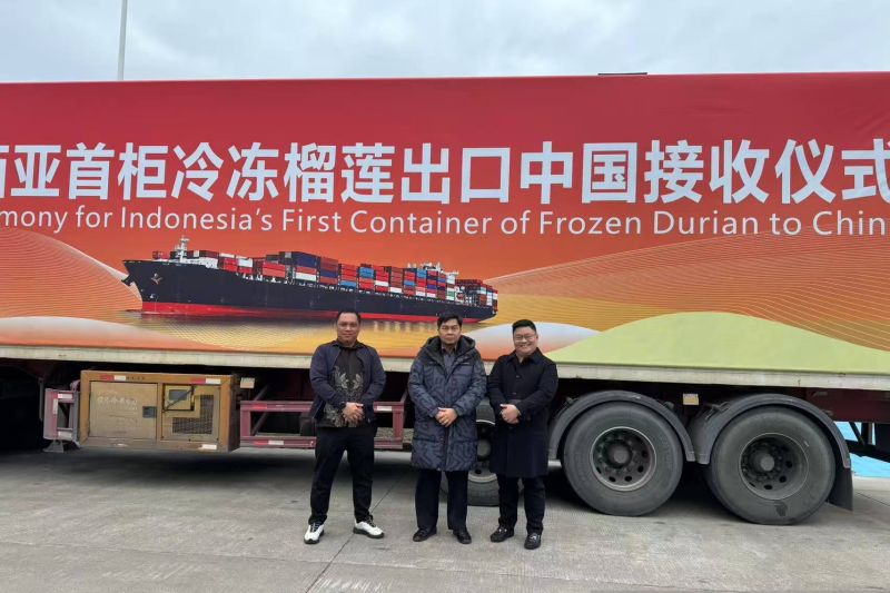 durian-beku-indonesia-resmi-beredar-di-pasar-china