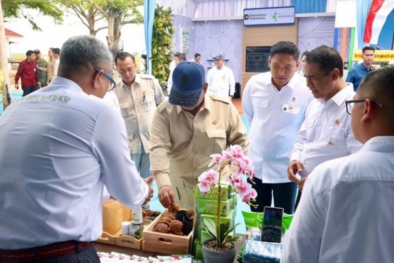 ptpn-siap-hilirisasi-gambir-sesuai-arah-kebijakan-presiden-prabowo