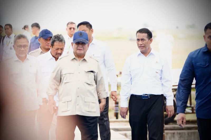 bapanas-surplus-beras-naik-243-persen-saat-ri-swasembada