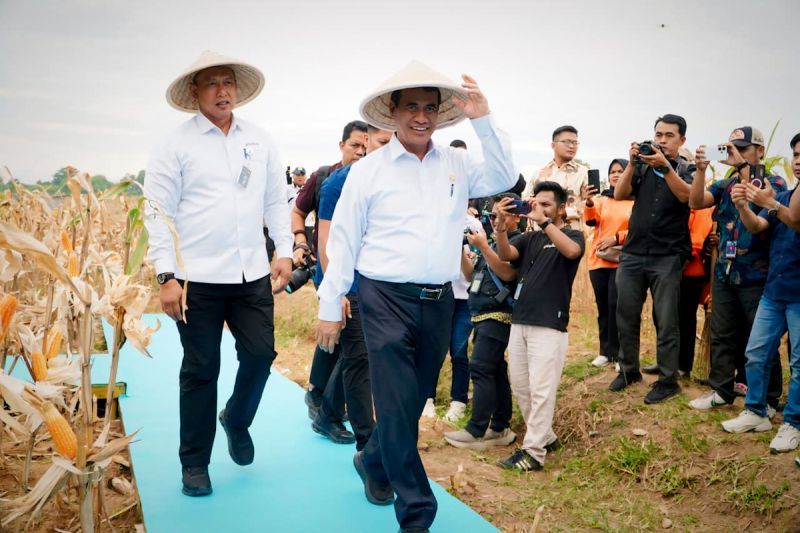 dirut-bulog-minta-seluruh-jajaran-proaktif-serap-jagung-produksi-polri