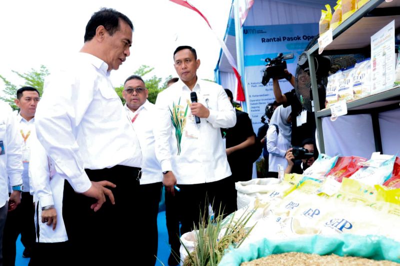 bulog-pecahkan-rekor-penyerapan-gabah-hingga-kawal-swasembada