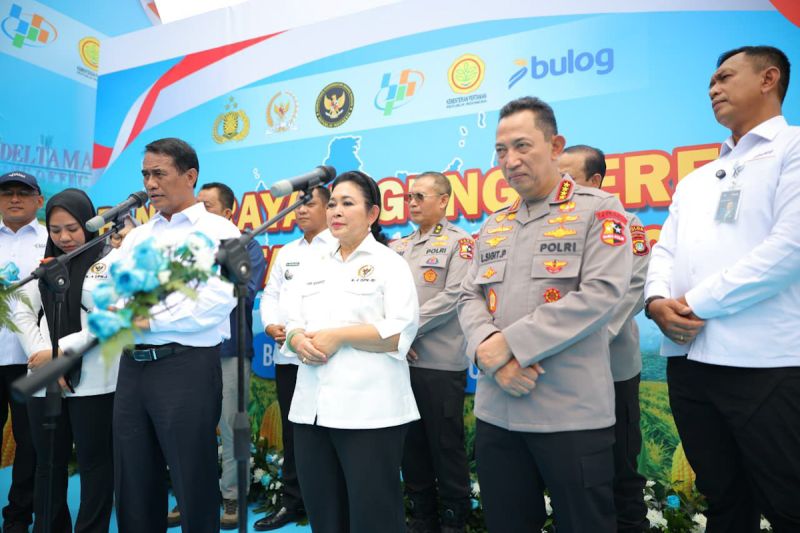 titiek-soeharto-dorong-ekspor-beras-dan-jagung-usai-swasembada