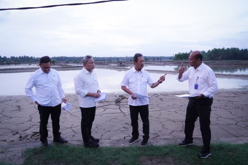 kkp-identifikasi-30-ribu-hektare-tambak-budidaya-ikan-di-aceh-rusak