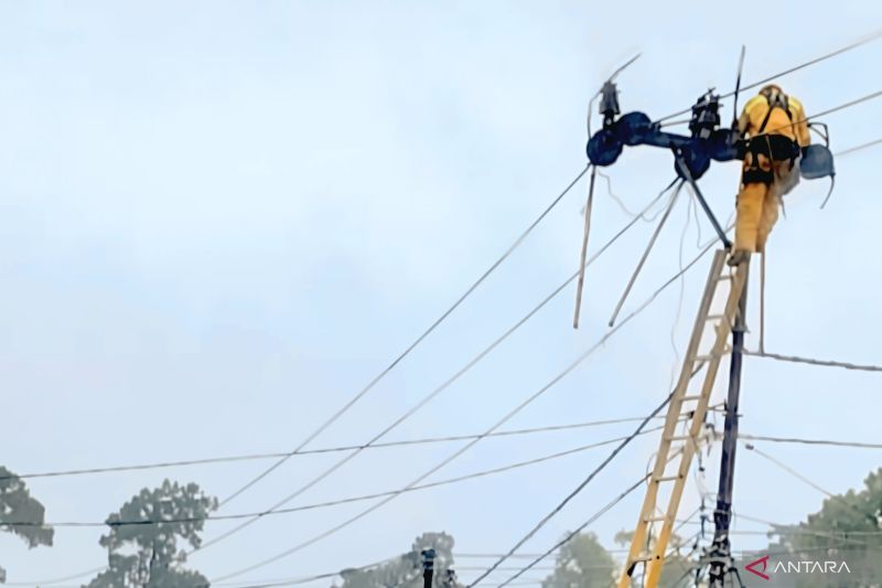 pln-pulihkan-jaringan-listrik-pascacuaca-ekstrem-di-lahat-sumsel