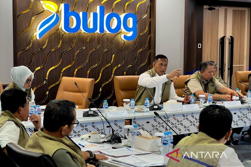 dirut-bulog-perkuat-strategi-pengadaan-cadangan-beras-4-juta-ton