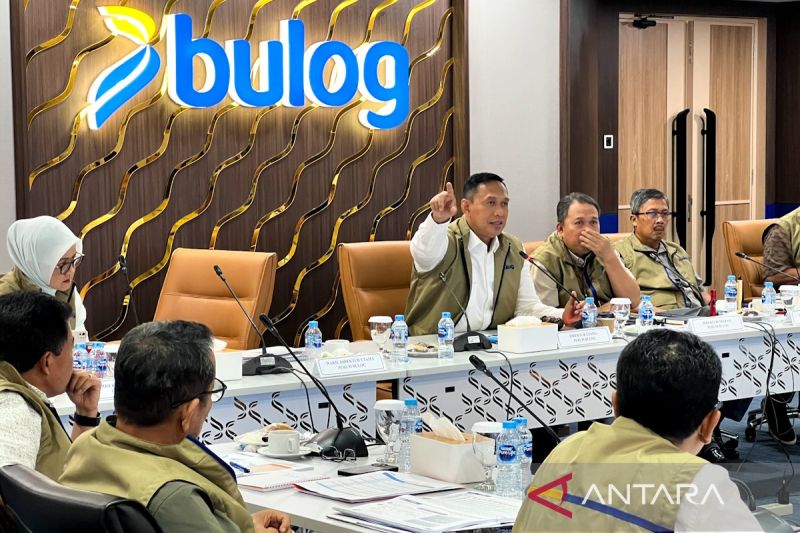 dirut-bulog-bencana-sumatera-tak-ganggu-target-serap-4-juta-ton-beras