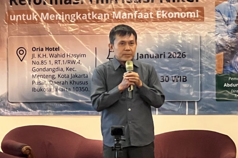 indonesia-dinilai-mampu-naikkan-harga-nikel-hingga-dua-kali-lipat