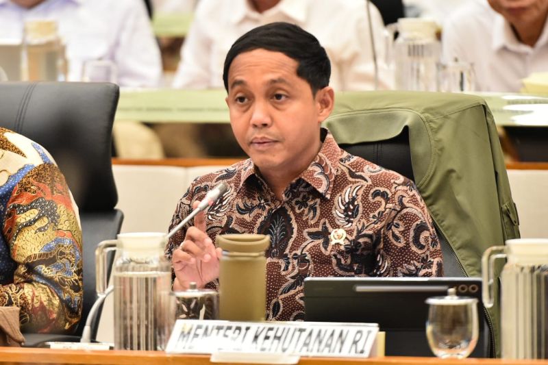 menhut-perkuat-perlindungan-hutan-lewat-moratorium-pemanfaatan-kayu