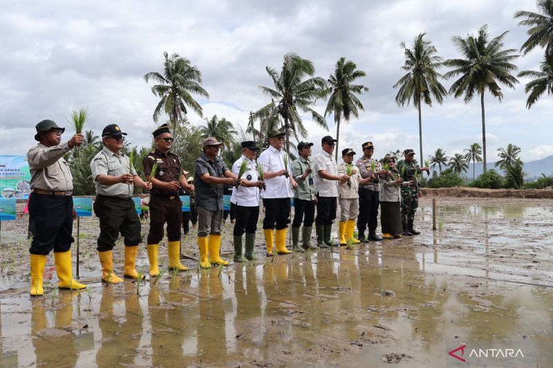 kementan-rehabilitasi-sawah-terdampak-bencana-di-sumbar