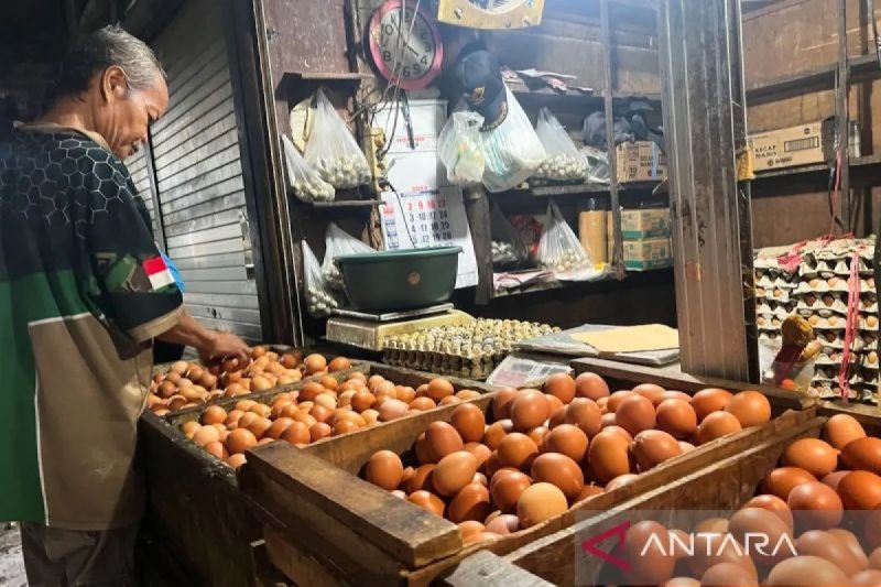 pihps-harga-cabai-rawit-merah-rp49850kg-telur-ayam-rp32100kg