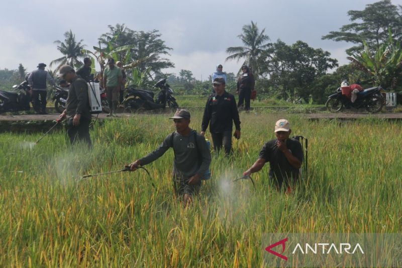 pemkab-kuningan-alokasikan-rp76-miliar-untuk-ketahanan-pangan-desa