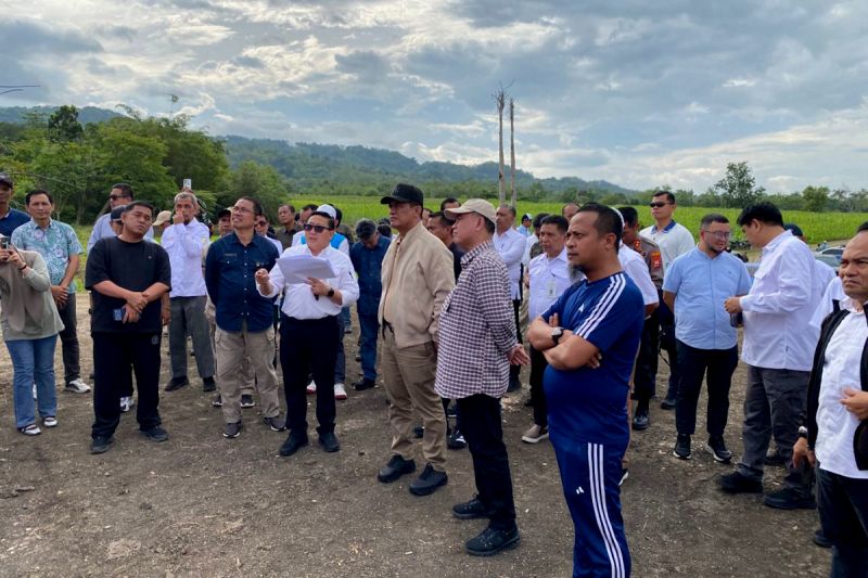 mentan-hilirisasi-ayam-terintegrasi-demi-peternak-dan-ekonomi-daerah