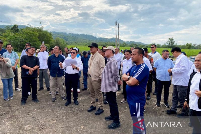 mentan-hilirisasi-ayam-terintegrasi-demi-peternak-dan-ekonomi-daerah