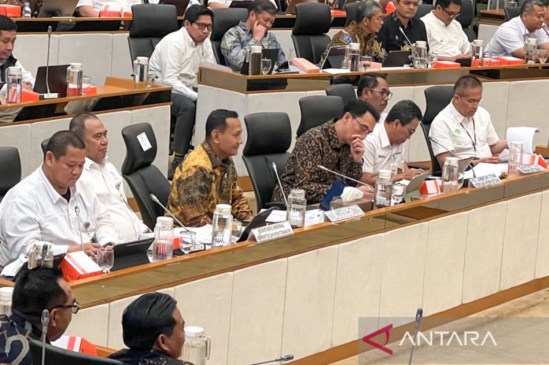 wamenhut-dukung-swasembada-pangan-lewat-agroforestri-perhutanan-sosial
