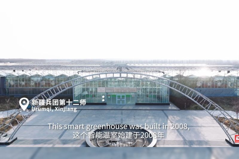 Laporan Khusus China Matters: Dampak Rumah Kaca Pintar bagi Pembangunan Xinjiang