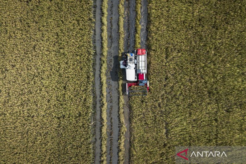 bersiap-menyambut-panen-raya-2026